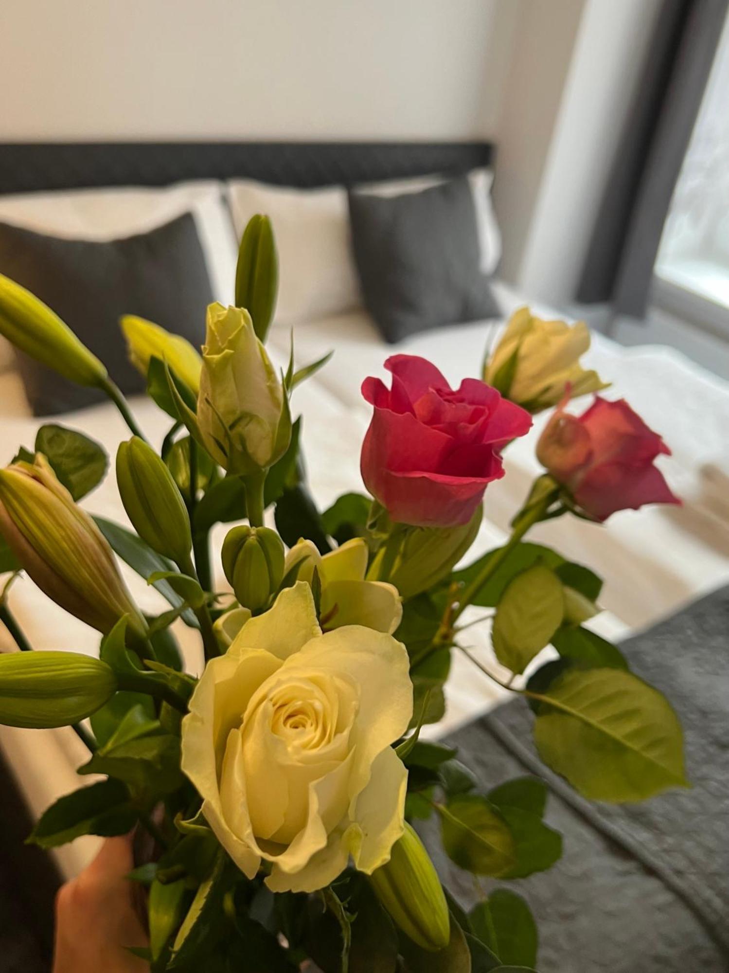 Hotel Boston Karlsbad Eksteriør billede